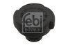 BUSON VAS EXPANSIUNE FEBI BILSTEIN 12205 - Compatibil cu BMW, LAND ROVER