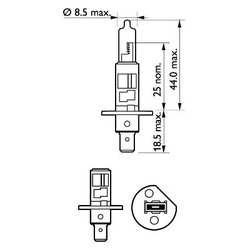 BEC, FAR FAZA LUNGA PHILIPS 12258LLECOC1 - Compatibil cu ABARTH, ALFA ROMEO, ALPINA, AUDI, BMW, CHEVROLET, CHRYSLER, CITROEN, DA