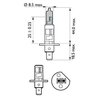 Bec, far faza lunga PHILIPS 12258WVUSM