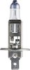 Bec, far faza lunga PHILIPS 12258XVGB1