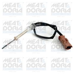 Senzor temperatura gaze evacuare Meat & Doria 12284