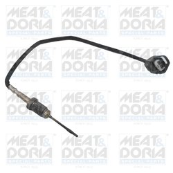 Senzor temperatura gaze evacuare Meat & Doria 12301