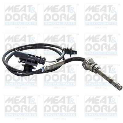 Senzor temperatura gaze evacuare Meat & Doria 12374