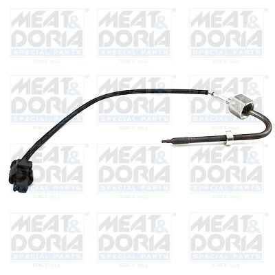 Senzor temperatura gaze evacuare Meat & Doria 12425E
