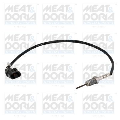 Senzor temperatura gaze evacuare Meat & Doria 12440