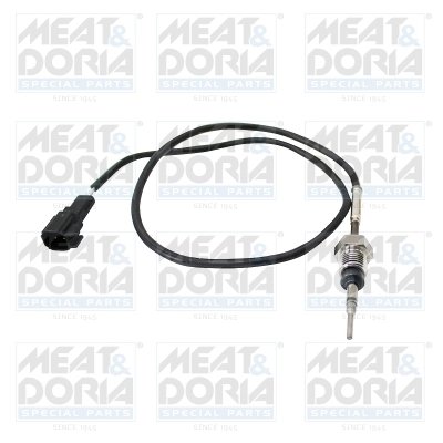 Senzor temperatura gaze evacuare Meat & Doria 12474