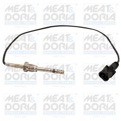 Senzor temperatura gaze evacuare Meat & Doria 12528