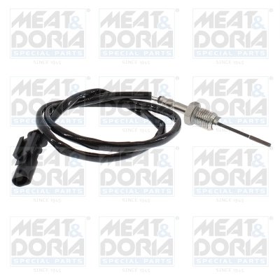 Senzor temperatura gaze evacuare Meat & Doria 12592