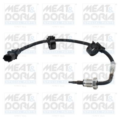 Senzor temperatura gaze evacuare Meat & Doria 12622
