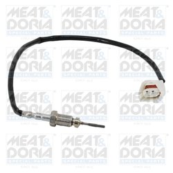 Senzor temperatura gaze evacuare Meat & Doria 12633