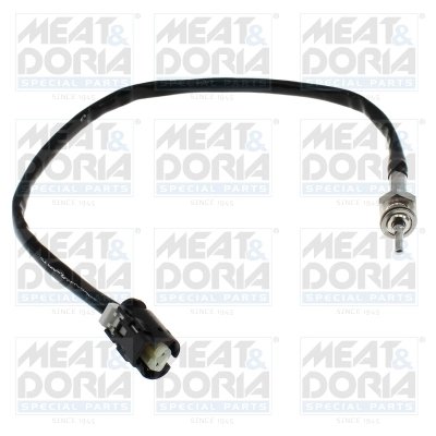 Senzor temperatura gaze evacuare Meat & Doria 12696