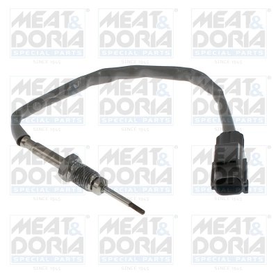 Senzor temperatura gaze evacuare Meat & Doria 12800