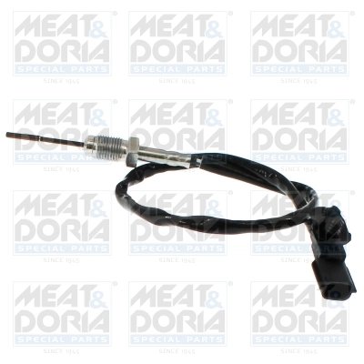 Senzor temperatura gaze evacuare Meat & Doria 12803