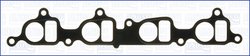 GARNITURA GALERIE ADMISIE AJUSA 13178900 - Compatibil cu NISSAN