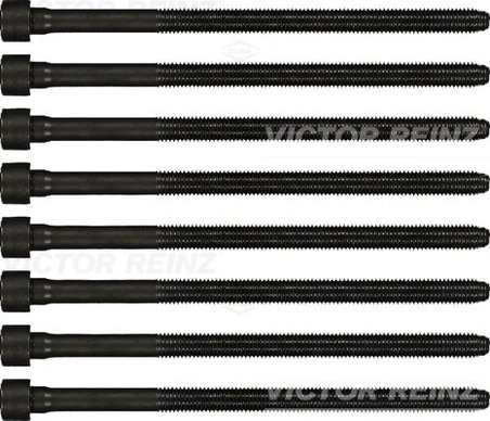 Set suruburi chiulasa Victor Reinz 14-32198-01