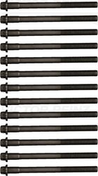 Set suruburi chiulasa Victor Reinz 14-32300-01