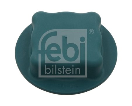 Buson vas expansiune Febi Bilstein 14775