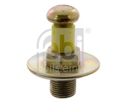 DORN DE INCHIDERE, BROASCA USA FEBI BILSTEIN 15676 - Compatibil cu AUDI, VW