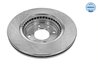 DISC FRANA MEYLE 16-15 521 0036 - Compatibil cu DACIA, LADA, NISSAN, RENAULT