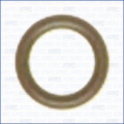 Garnitura, pompa vacuum Ajusa 16001300