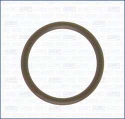 Garnitura galerie admisie Ajusa 16014400