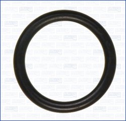 Garnitura galerie admisie Ajusa 16015100