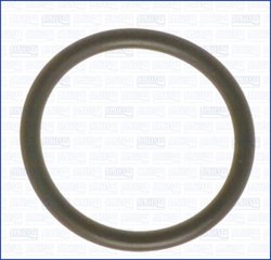 GARNITURA GALERIE ADMISIE AJUSA 16022400 - Piesa auto compatibila cu mai multe marci