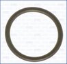 GARNITURA GALERIE ADMISIE AJUSA 16022400 - Piesa auto compatibila cu mai multe marci