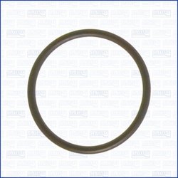 GARNITURA GALERIE ADMISIE AJUSA 16023100 - Compatibil cu AUDI, BMW, CUPRA, JAGUAR, MINI, SEAT, SKODA, SSANGYONG, VW