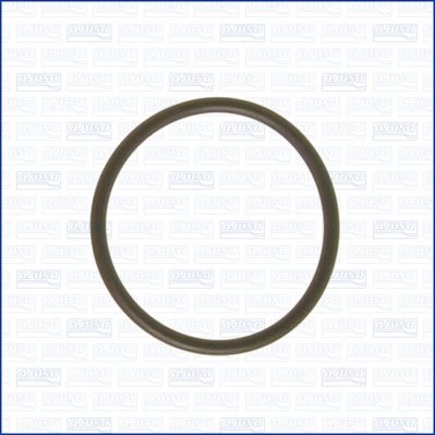 Garnitura, flansa lichid racire Ajusa 16024400