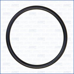 GARNITURA TERMOSTAT AJUSA 16054000 - Compatibil cu ARO, AUDI, BESTURN (FAW), CHRYSLER, DACIA, DODGE, DONKERVOORT, FORD, JEEP, MI