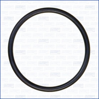 Garnitura termostat Ajusa 16054000