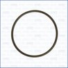GARNITURA GALERIE ADMISIE AJUSA 16057900 - Compatibil cu CITROEN, DONGFENG (DFAC), DS (CAPSA), FENGSHEN, FIAT, IRAN KHODRO, PEUG