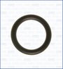 GARNITURA GALERIE ADMISIE AJUSA 16072400 - Compatibil cu CITROEN, FIAT, FORD, MAZDA, MINI, PEUGEOT, SANTANA, SUZUKI, VOLVO