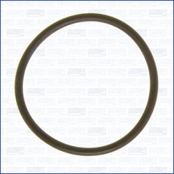 GARNITURA GALERIE ADMISIE AJUSA 16073300 - Compatibil cu AC, DE TOMASO, FORD, FORD AUSTRALIA, FORD USA, GINETTA, JAGUAR, JENSEN,