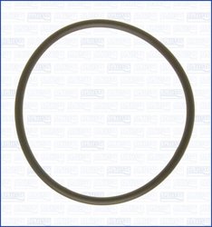 INEL DE ETANSARE, POMPA DE APA AJUSA 16074700 - Compatibil cu FORD, FORD (CHANGAN), FORD ASIA & OCEANIA, FORD AUSTRALIA, FORD US