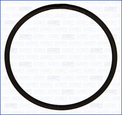 GARNITURA GALERIE ADMISIE AJUSA 16079800 - Piesa auto compatibila cu mai multe marci