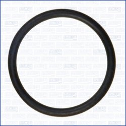 GARNITURA GALERIE ADMISIE AJUSA 16080200 - Piesa auto compatibila cu mai multe marci