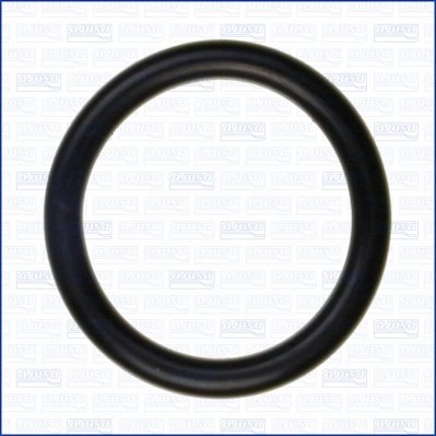 GARNITURA GALERIE ADMISIE AJUSA 16091100 - Compatibil cu CITROEN, DS, FORD, PEUGEOT, TOYOTA