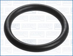 GARNITURA GALERIE ADMISIE AJUSA 16091100 - Compatibil cu CITROEN, DS, FORD, PEUGEOT, TOYOTA