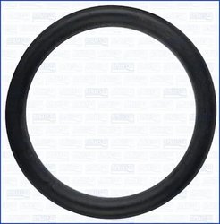 GARNITURA GALERIE ADMISIE AJUSA 16515500 - Piesa auto compatibila cu mai multe marci