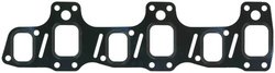 GARNITURA GALERIE ADMISIE ELRING 170.410 - Compatibil cu SCANIA