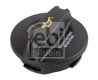 Buson umplere ulei Febi Bilstein 170554