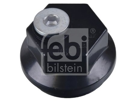 capac de protectie,butuc roata Febi Bilstein 172480