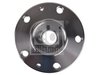 Butuc roata Febi Bilstein 172747