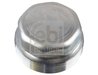 capac de protectie,butuc roata Febi Bilstein 172803
