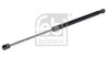 Amortizor portbagaj Febi Bilstein 174351