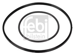 SET ETANSARE, POMPA VACUUM FEBI BILSTEIN 174463 - Compatibil cu BMW