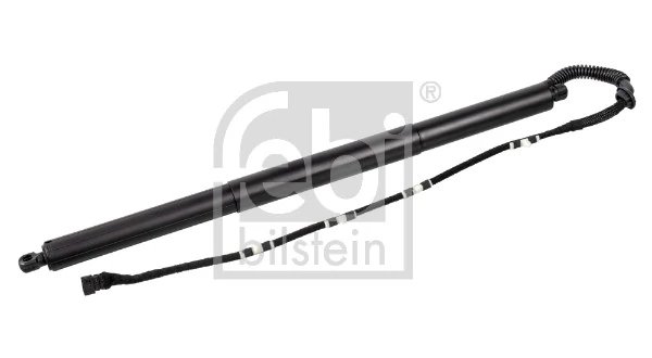 Amortizor portbagaj Febi Bilstein 179300