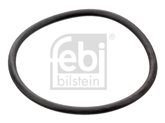 Garnitura termostat Febi Bilstein 17964
